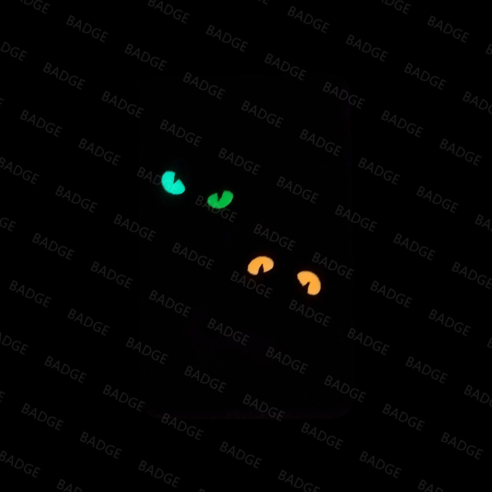 Glow in The Dark Patch Cat dev - Hook Eye Fastener recensione e prezzo